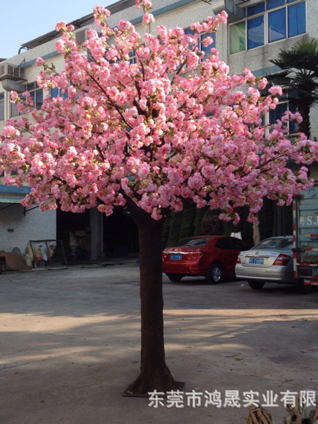 景观装饰樱花树