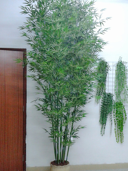 10杆竹树