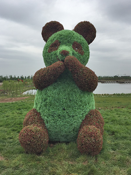 熊猫植物绿雕