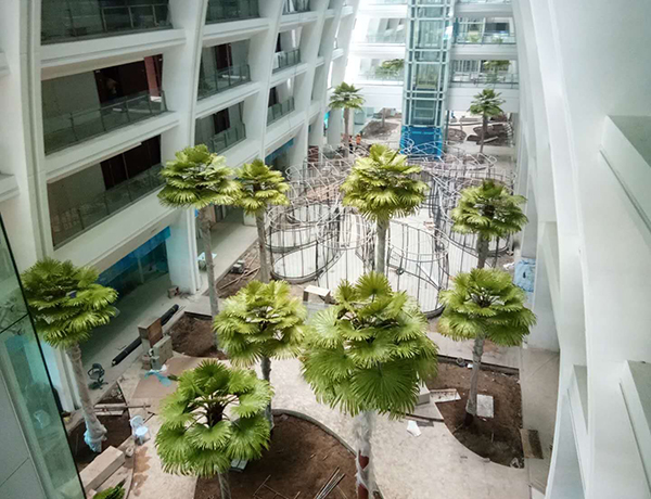 马来西亚仿真棕榈树